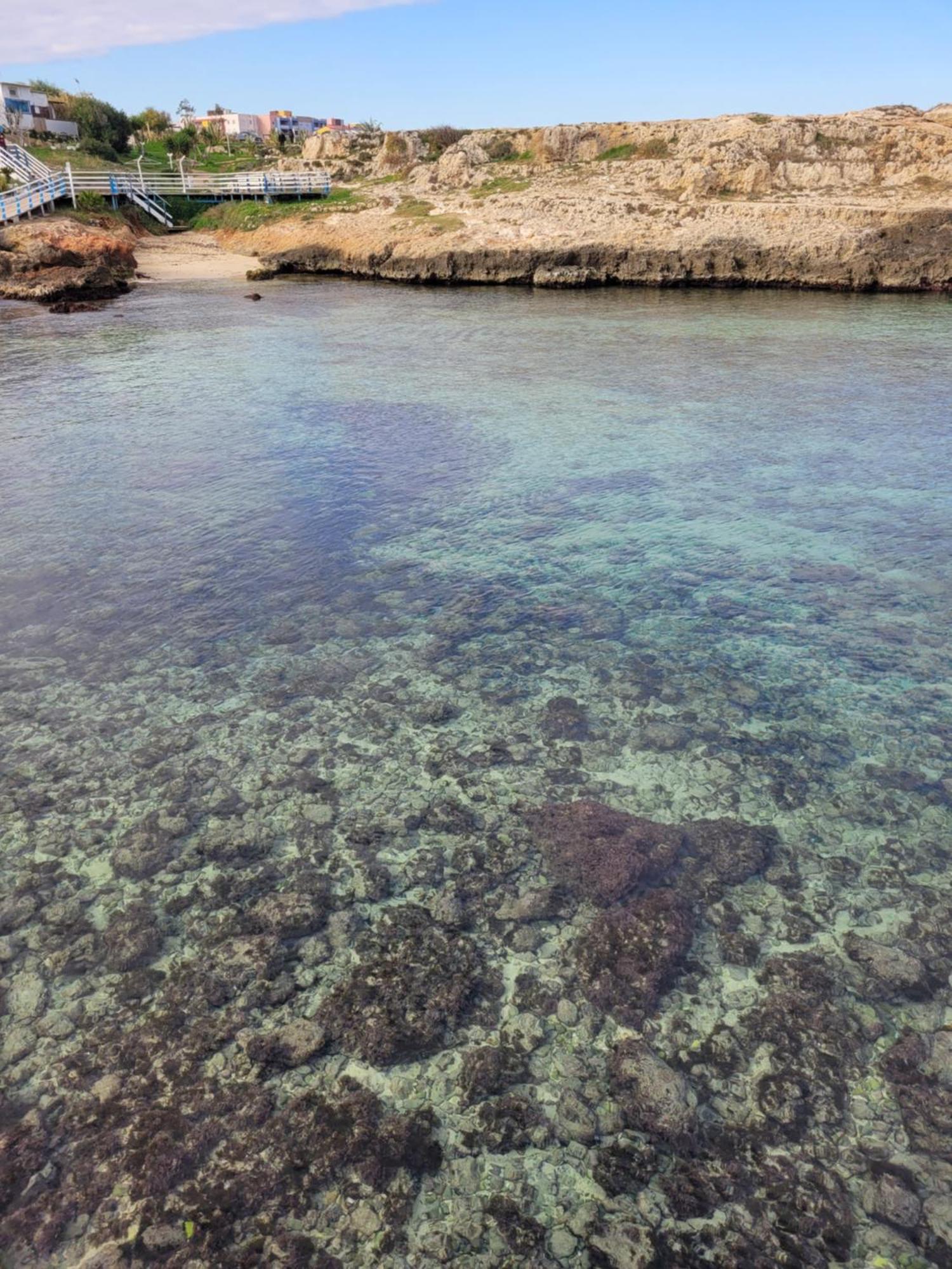 Cala Paradiso 莫诺波利 外观 照片