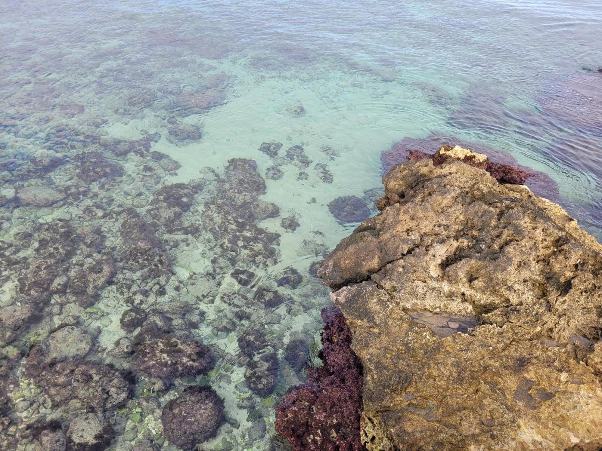 Cala Paradiso 莫诺波利 外观 照片